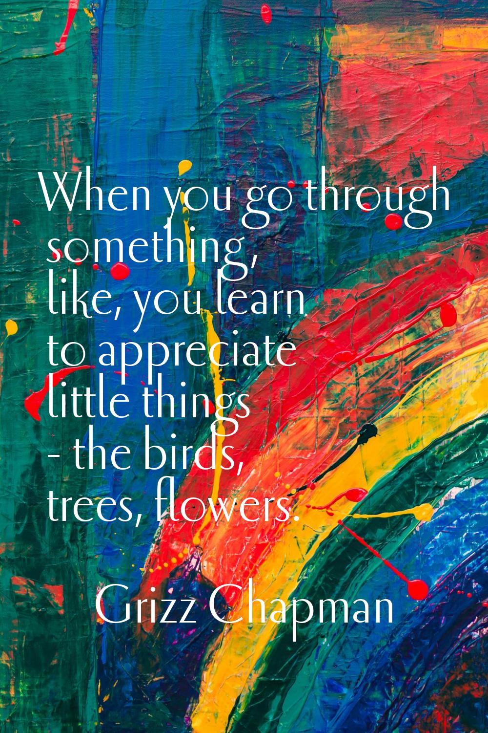 When you go through something, like, you learn to appreciate little things - the birds, trees, flow