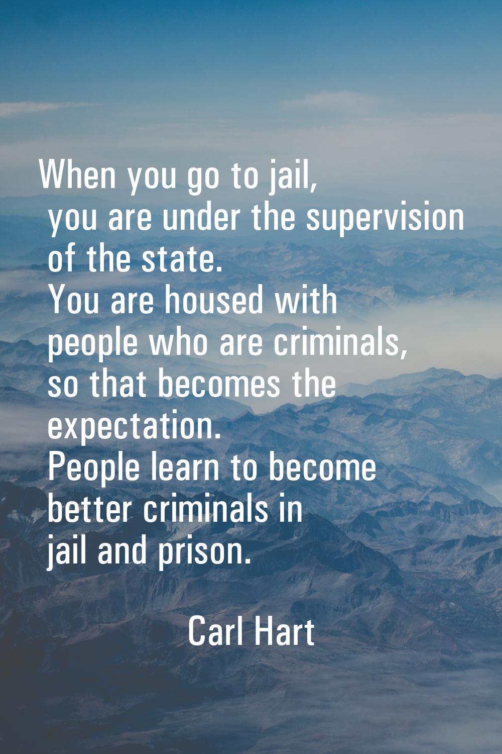 When you go to jail, you are under the supervision of the state. You are housed with people who are