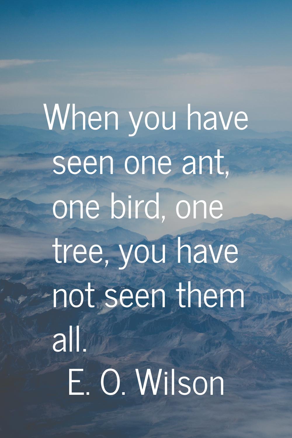 When you have seen one ant, one bird, one tree, you have not seen them all.