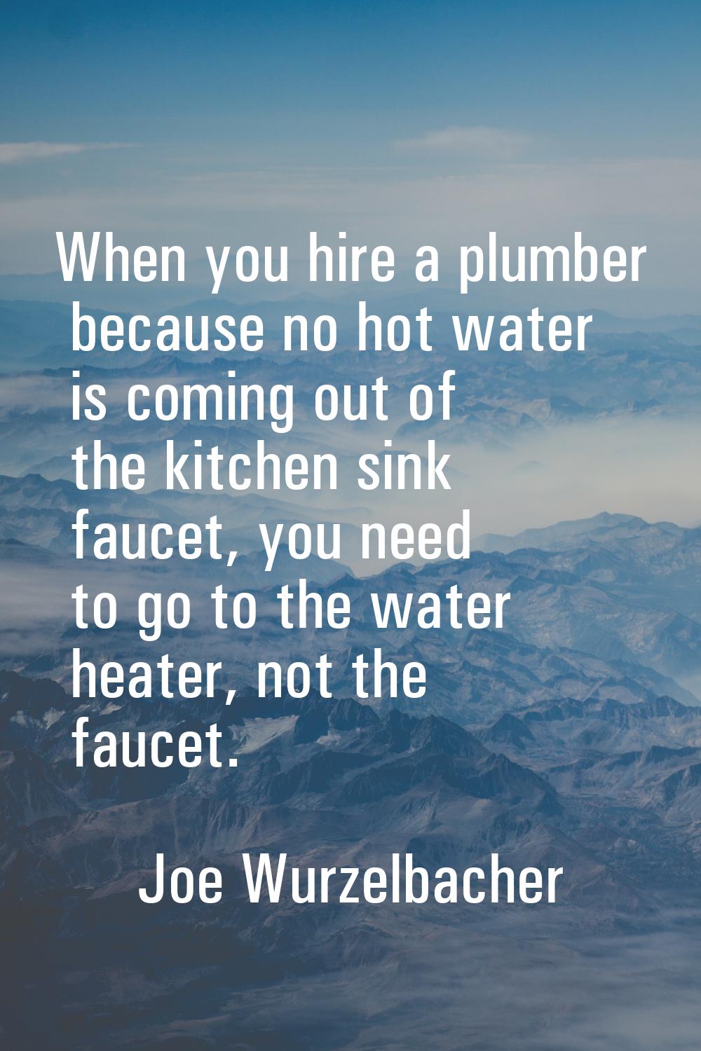 When you hire a plumber because no hot water is coming out of the kitchen sink faucet, you need to 