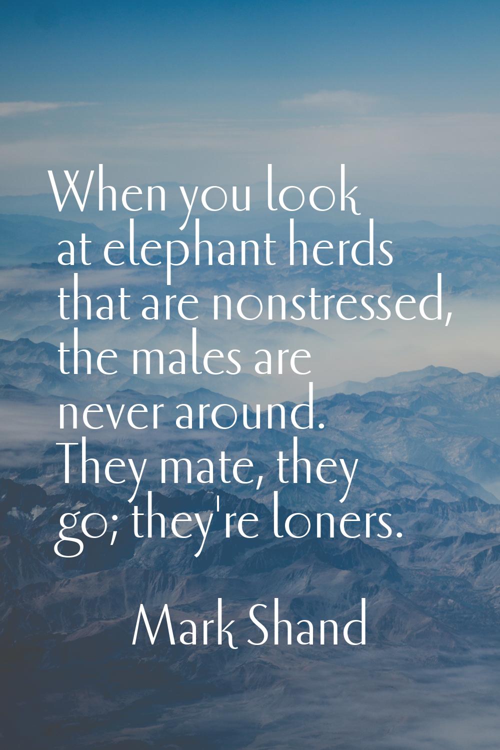 When you look at elephant herds that are nonstressed, the males are never around. They mate, they g