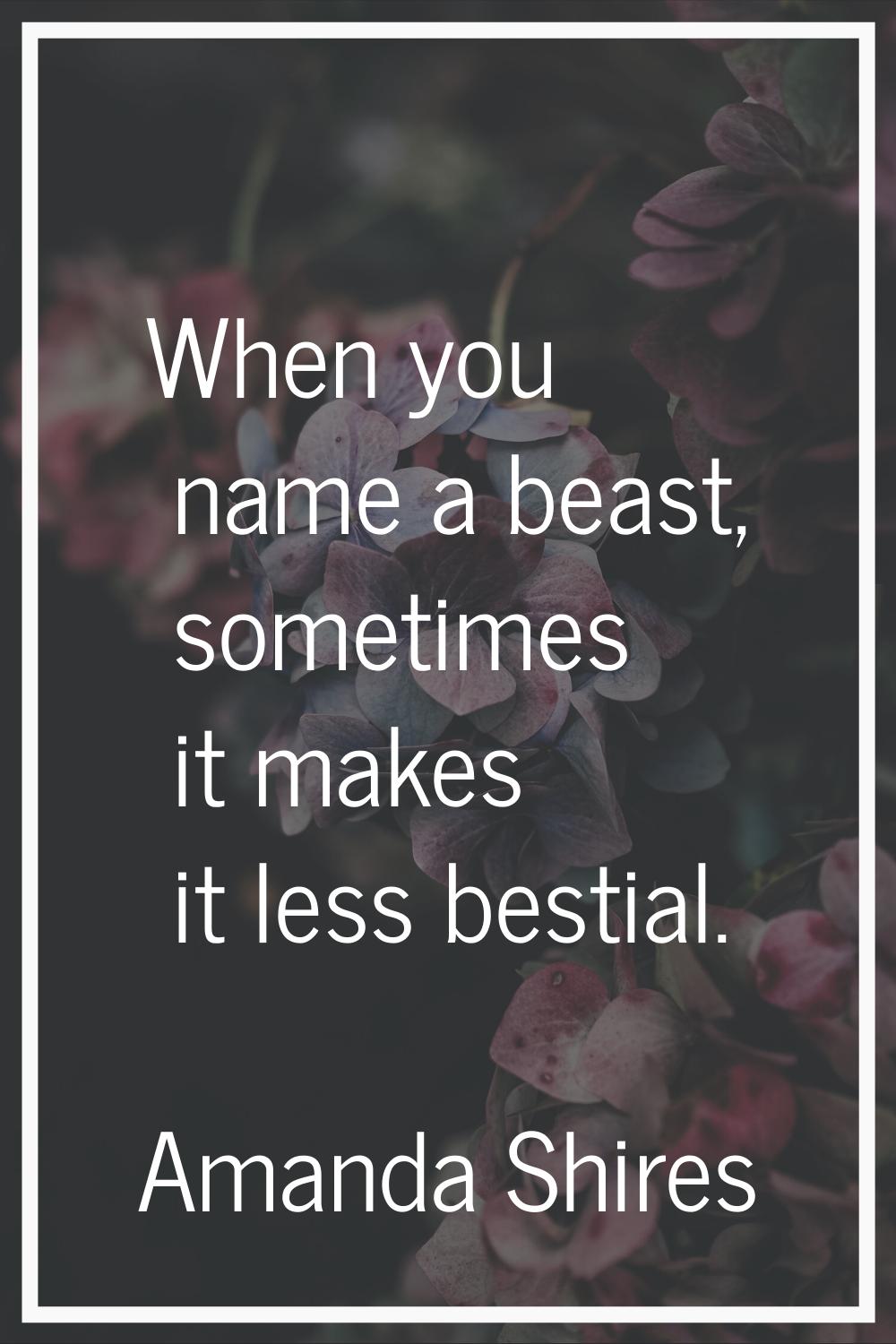 When you name a beast, sometimes it makes it less bestial.