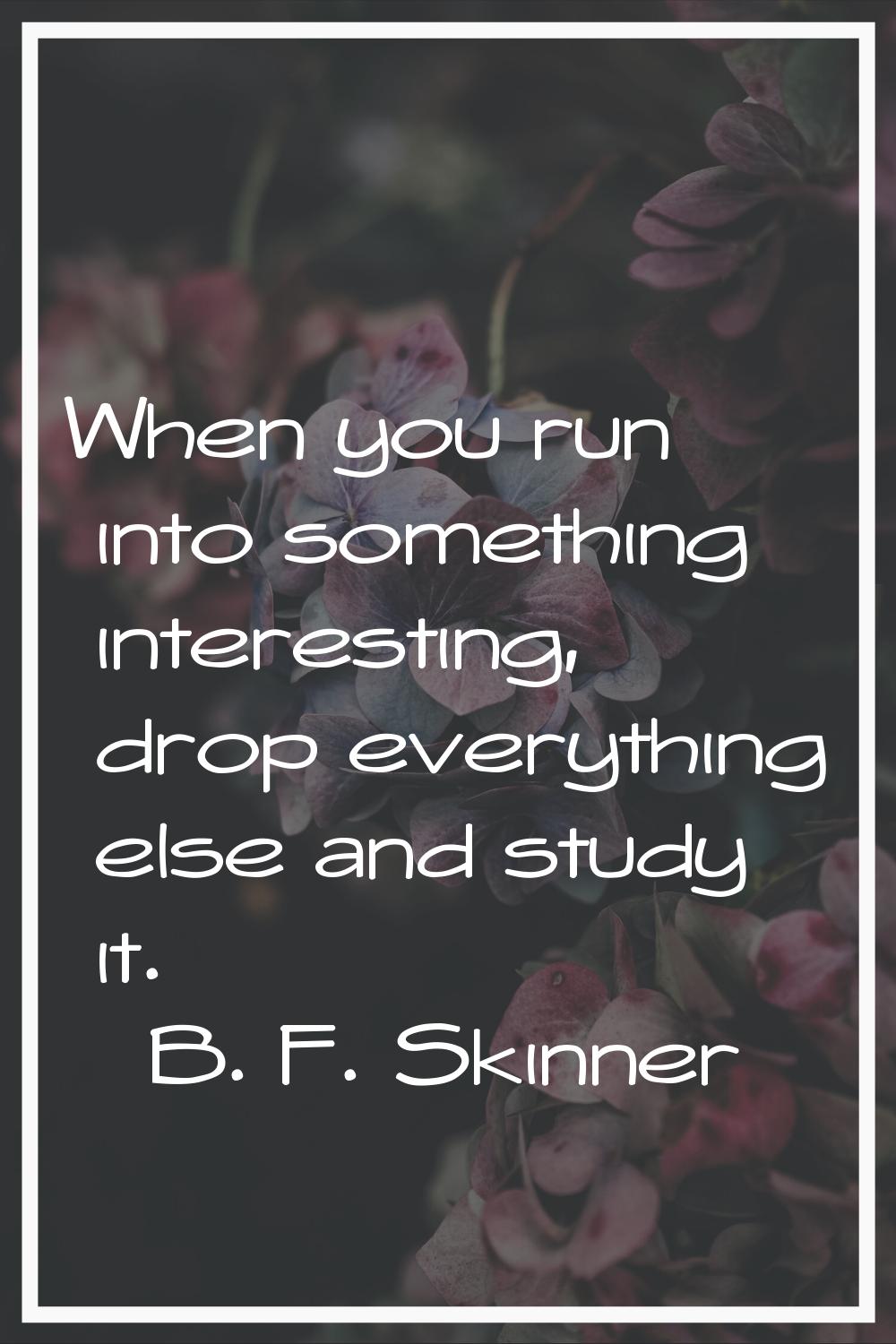 When you run into something interesting, drop everything else and study it.