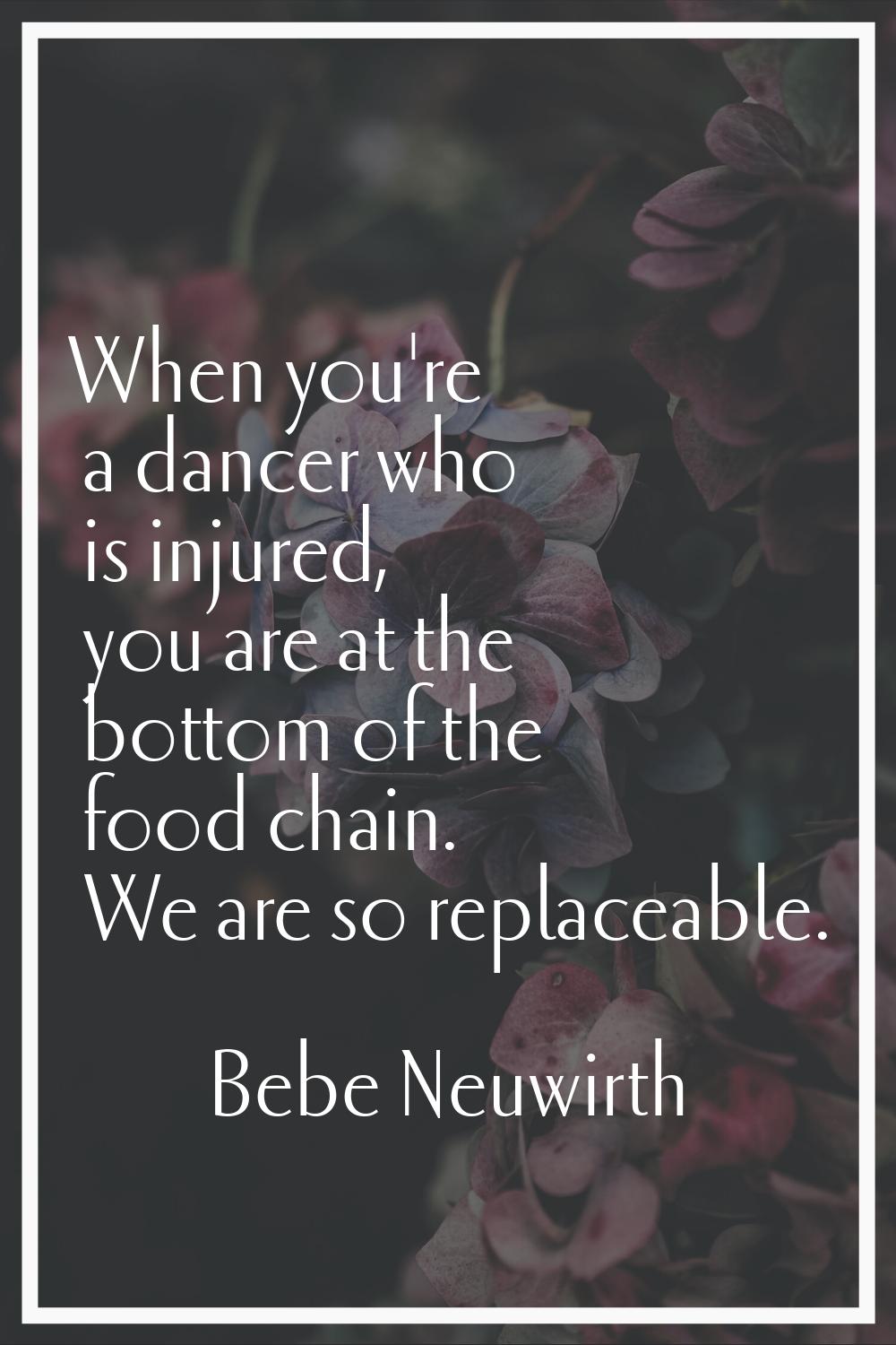 When you're a dancer who is injured, you are at the bottom of the food chain. We are so replaceable