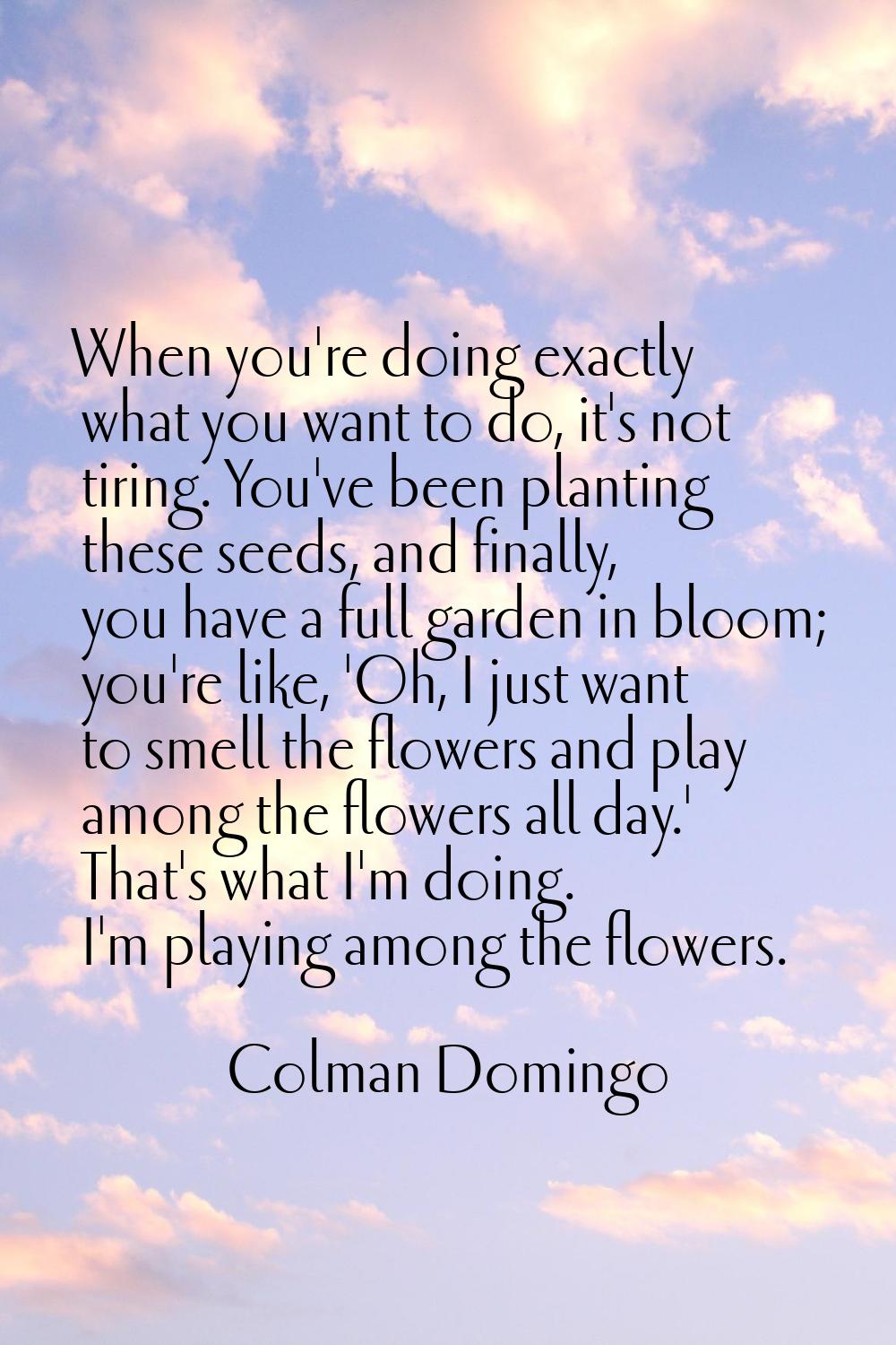 When you're doing exactly what you want to do, it's not tiring. You've been planting these seeds, a