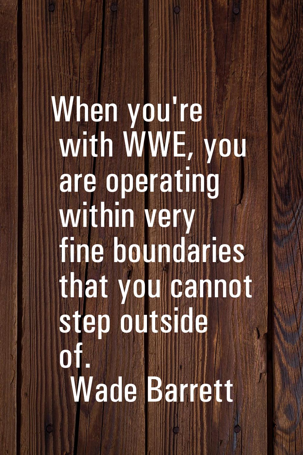 When you're with WWE, you are operating within very fine boundaries that you cannot step outside of