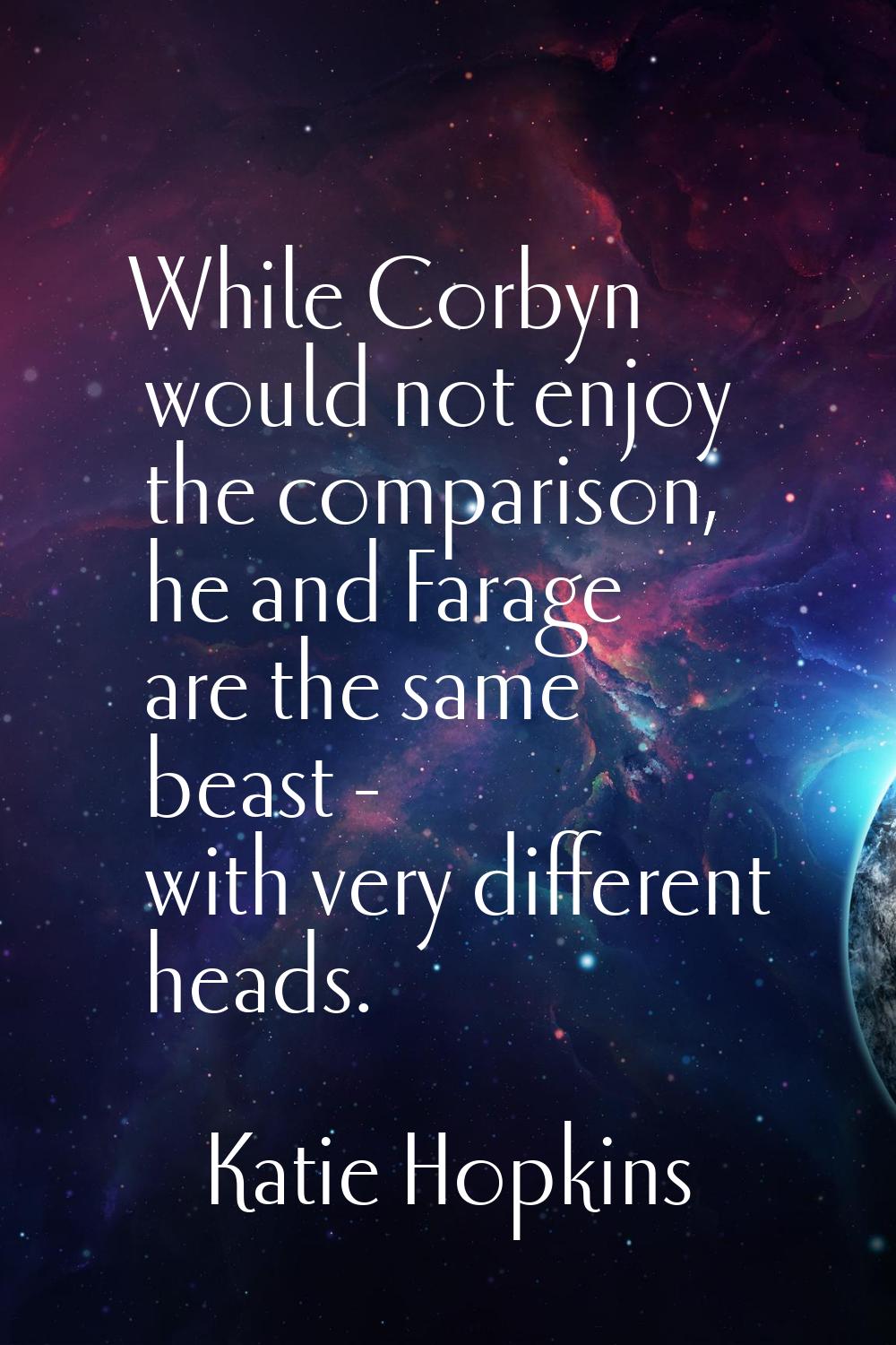 While Corbyn would not enjoy the comparison, he and Farage are the same beast - with very different
