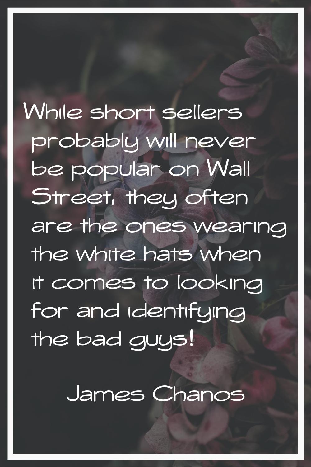 While short sellers probably will never be popular on Wall Street, they often are the ones wearing 