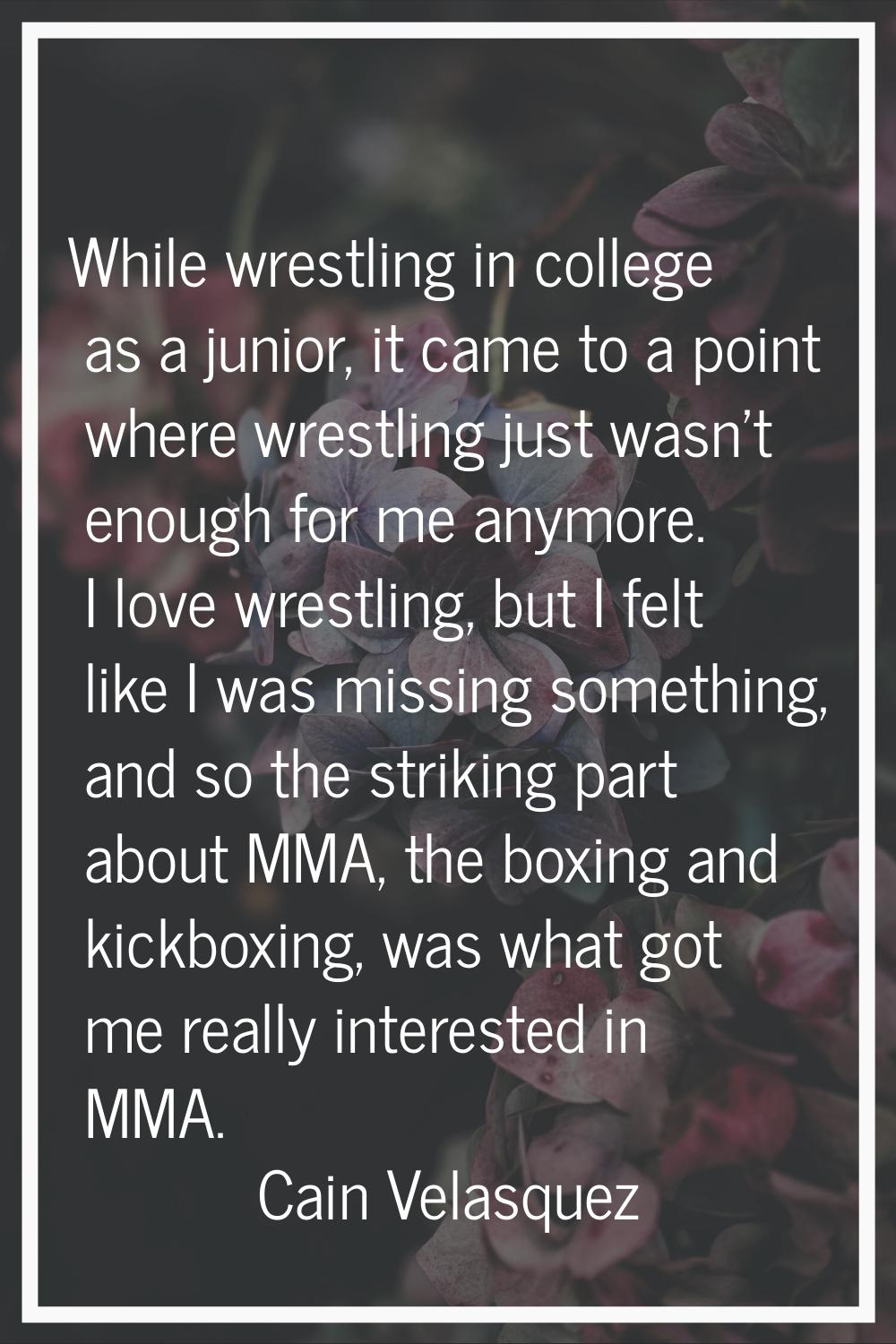 While wrestling in college as a junior, it came to a point where wrestling just wasn't enough for m
