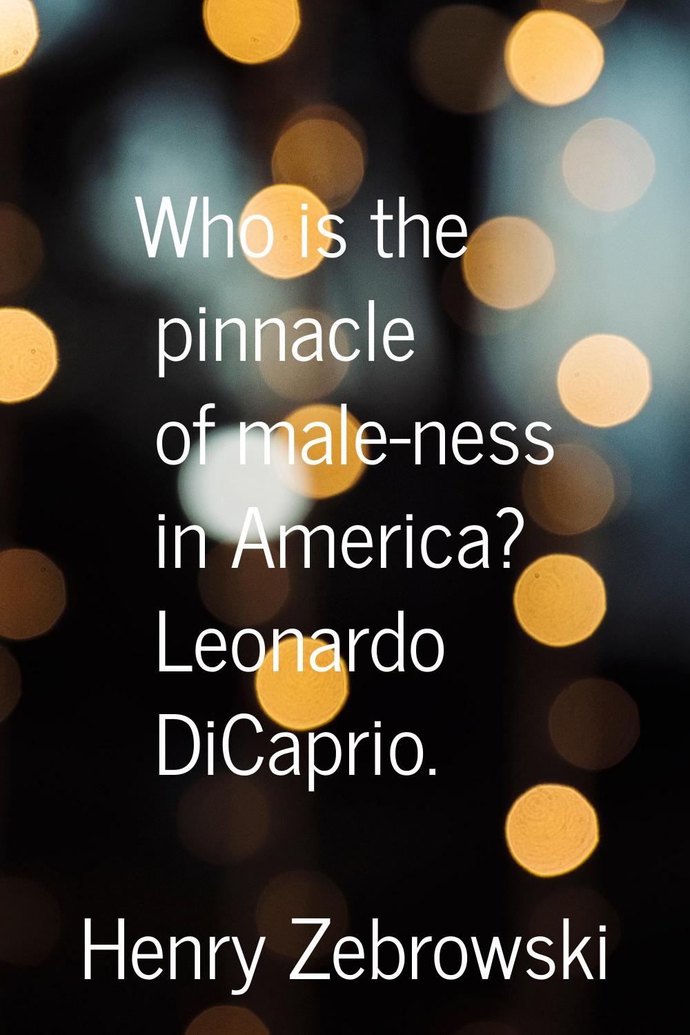 Who is the pinnacle of male-ness in America? Leonardo DiCaprio.