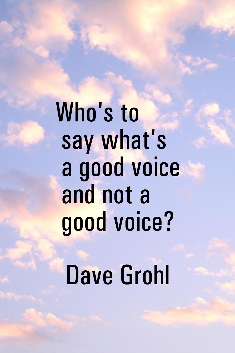 Who's to say what's a good voice and not a good voice?