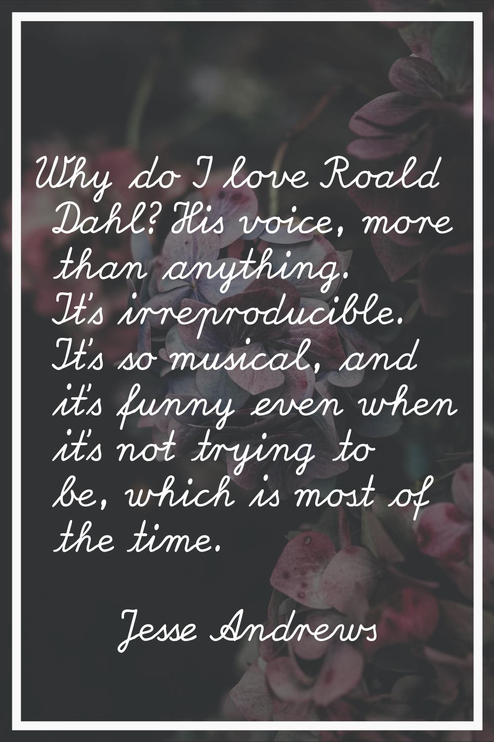 Why do I love Roald Dahl? His voice, more than anything. It's irreproducible. It's so musical, and 