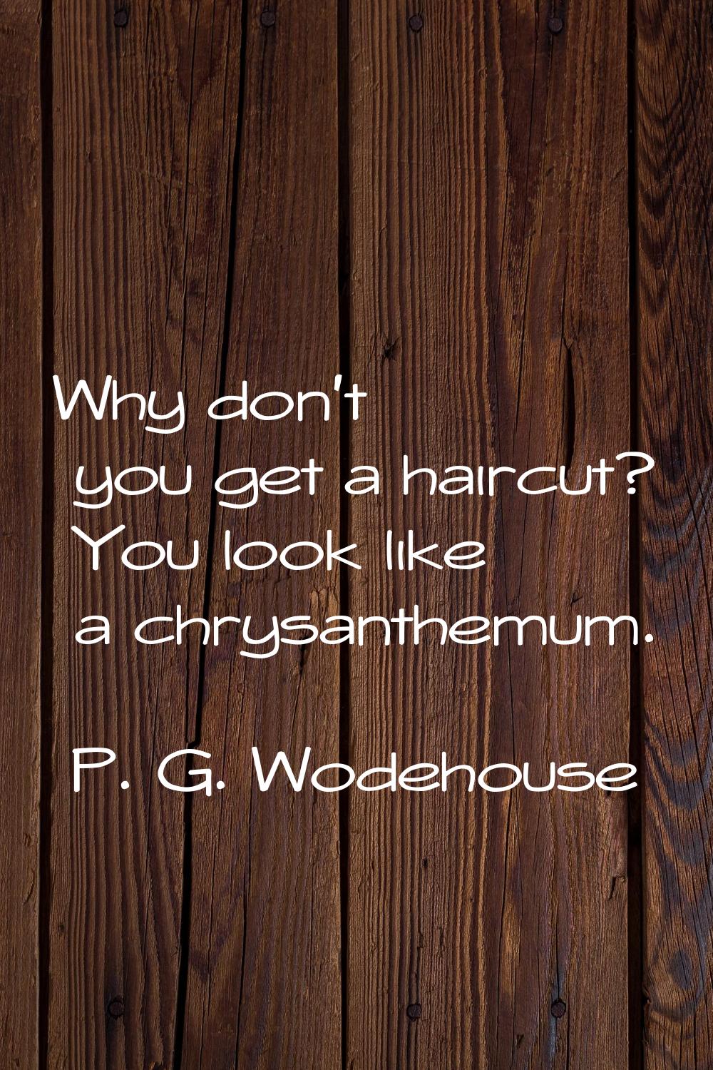 Why don't you get a haircut? You look like a chrysanthemum.