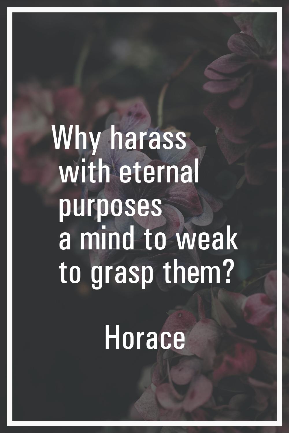 Why harass with eternal purposes a mind to weak to grasp them?
