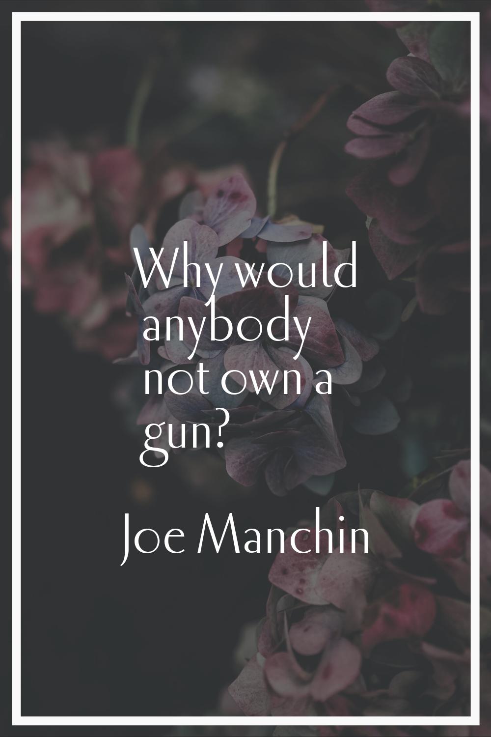 Why would anybody not own a gun?