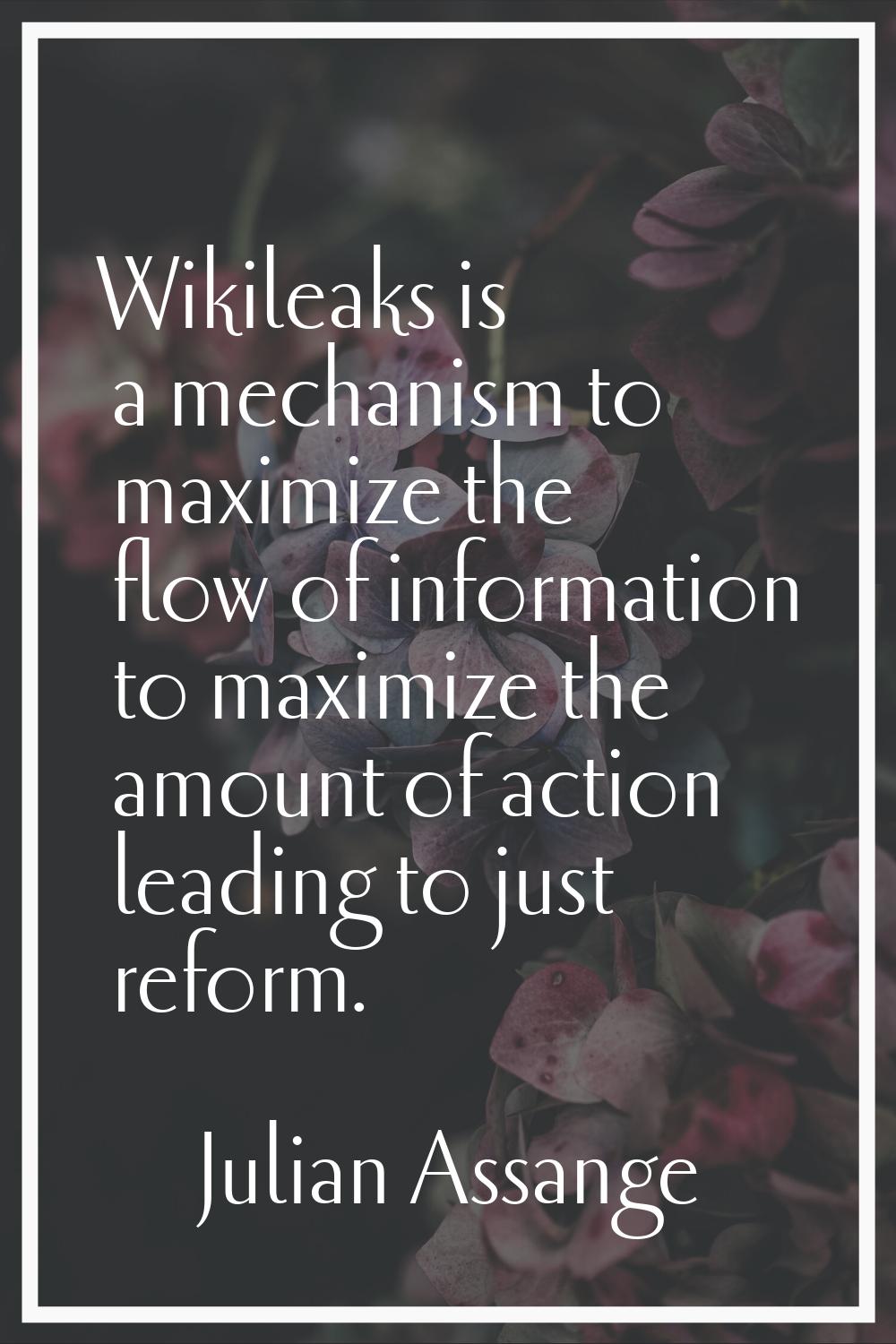 Wikileaks is a mechanism to maximize the flow of information to maximize the amount of action leadi