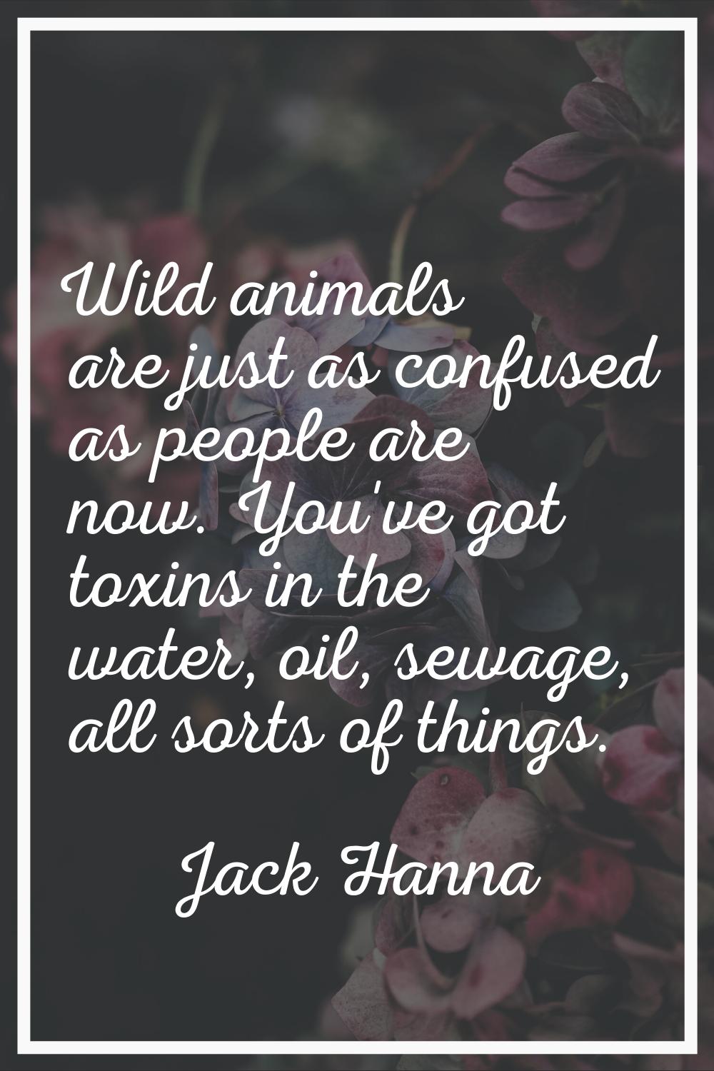 Wild animals are just as confused as people are now. You've got toxins in the water, oil, sewage, a