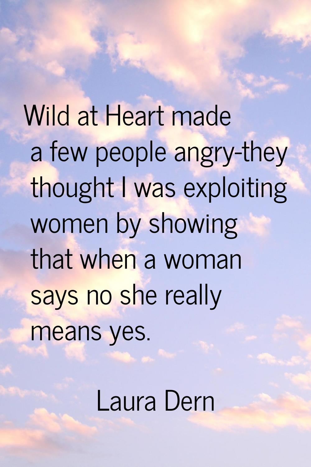 Wild at Heart made a few people angry-they thought I was exploiting women by showing that when a wo
