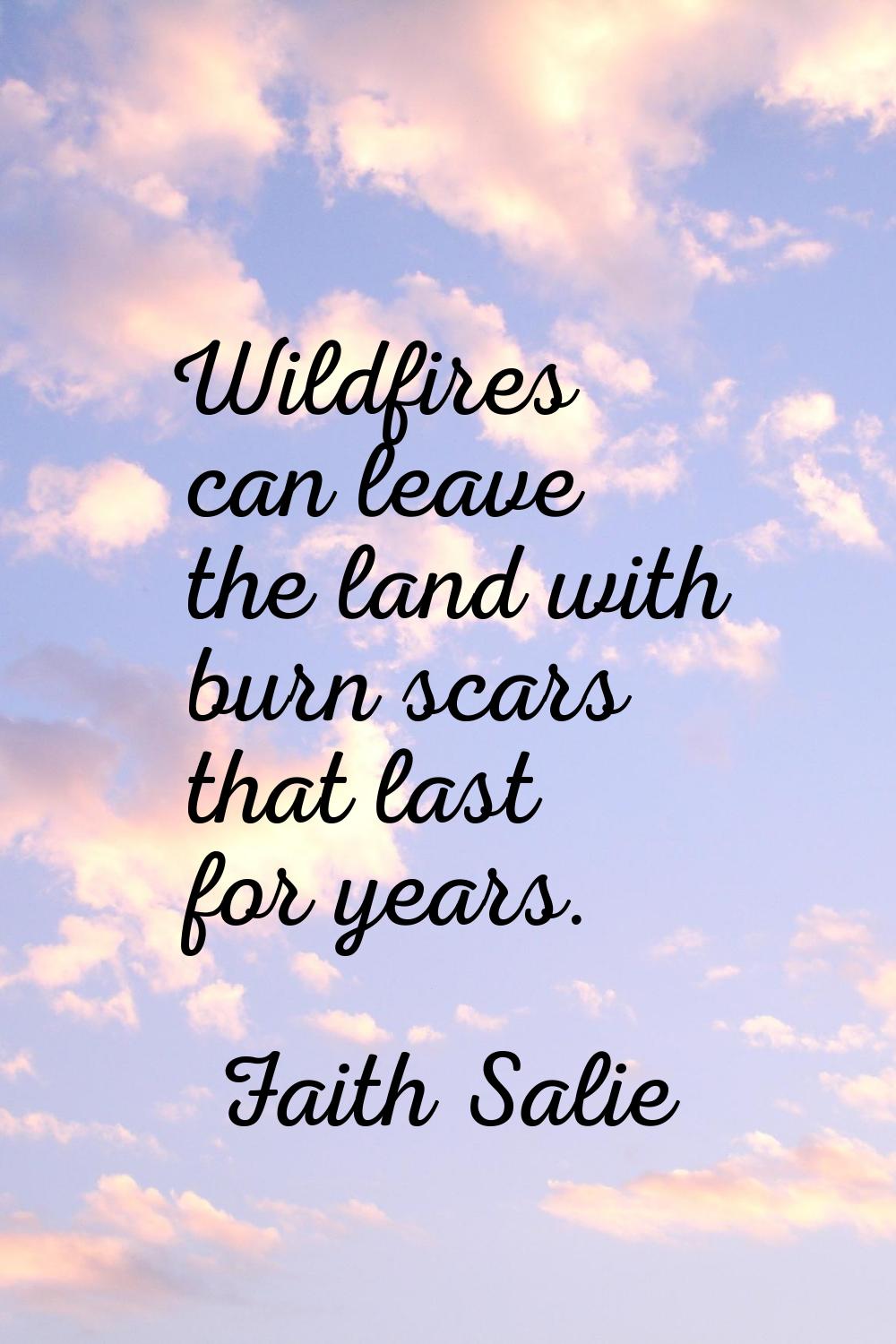 Wildfires can leave the land with burn scars that last for years.