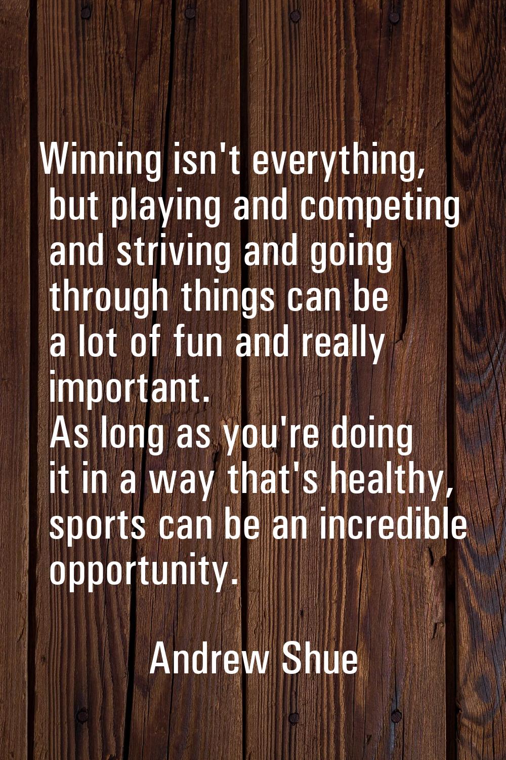 Winning isn't everything, but playing and competing and striving and going through things can be a 