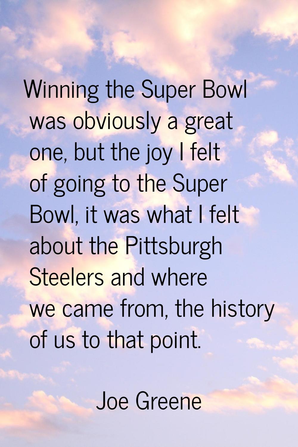 Winning the Super Bowl was obviously a great one, but the joy I felt of going to the Super Bowl, it