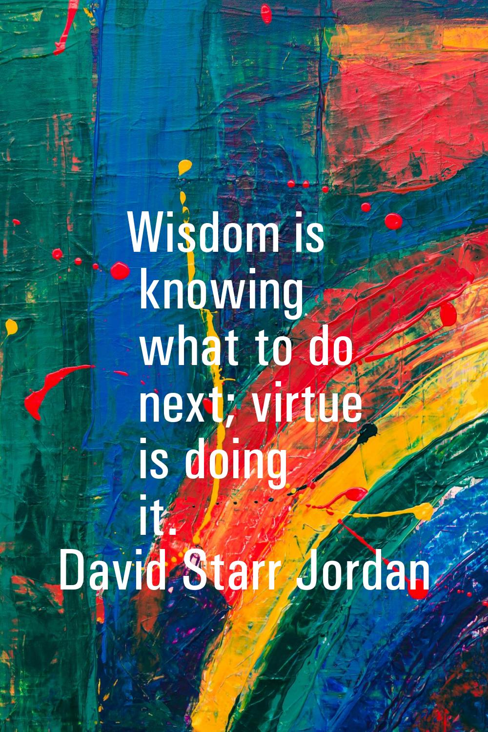 Wisdom is knowing what to do next; virtue is doing it.