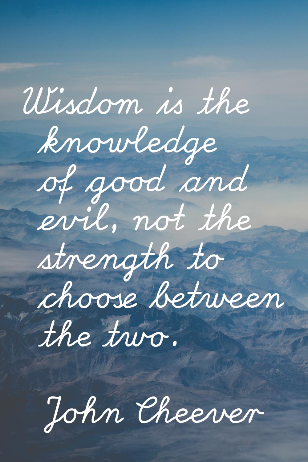 Wisdom is the knowledge of good and evil, not the strength to choose between the two.