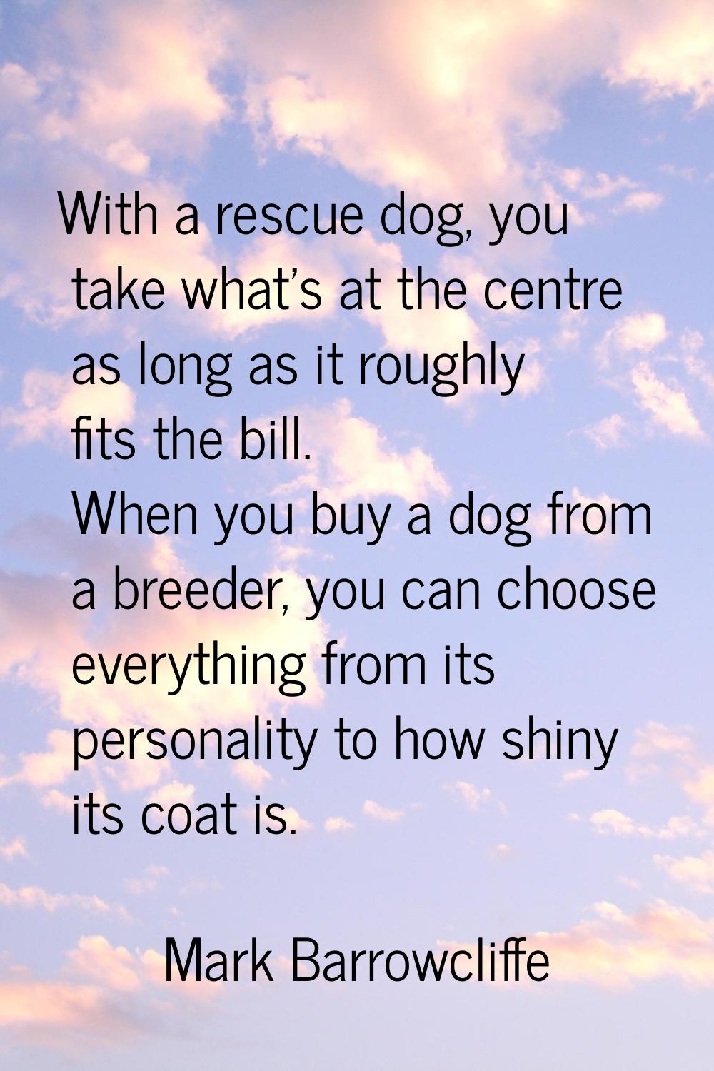 With a rescue dog, you take what's at the centre as long as it roughly fits the bill. When you buy 