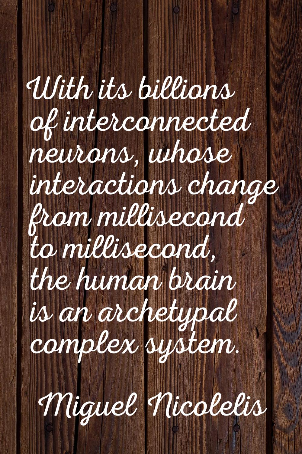 With its billions of interconnected neurons, whose interactions change from millisecond to millisec