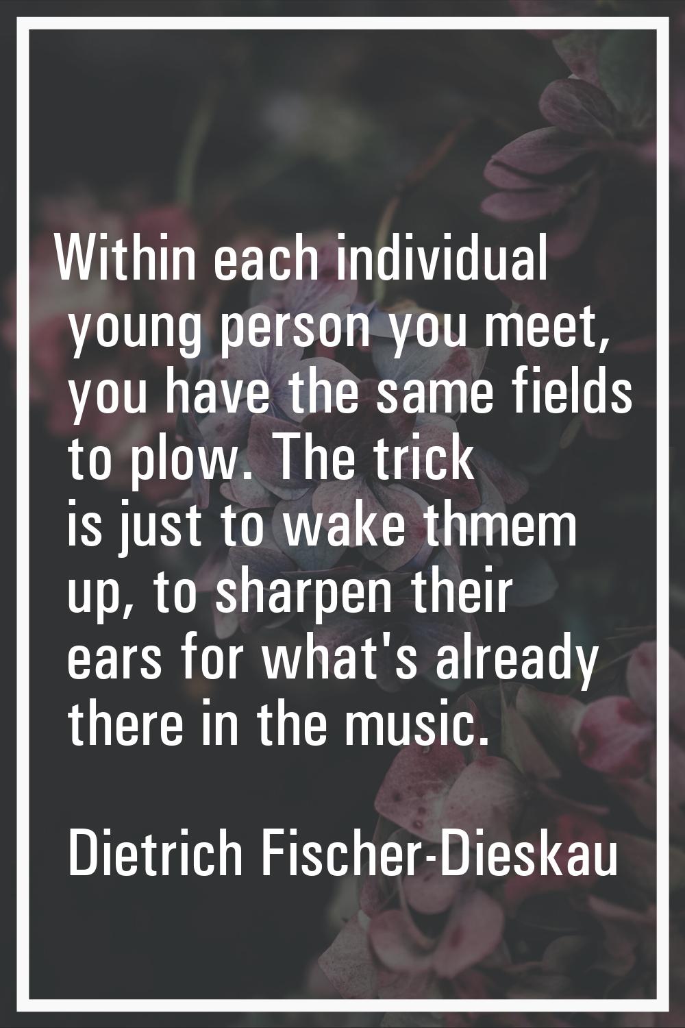 Within each individual young person you meet, you have the same fields to plow. The trick is just t