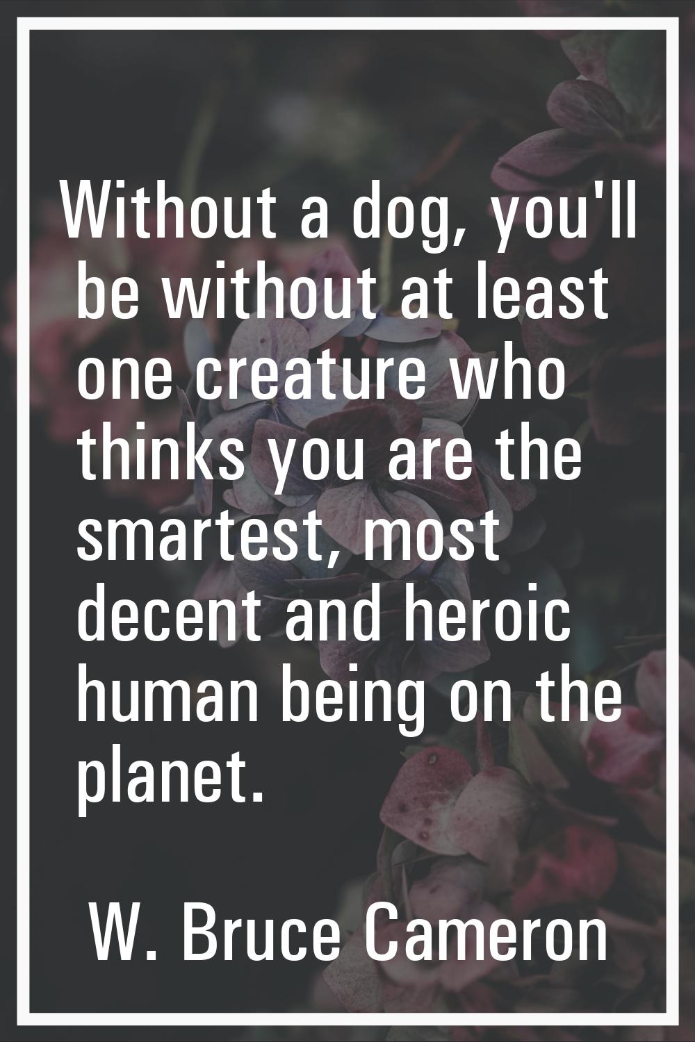 Without a dog, you'll be without at least one creature who thinks you are the smartest, most decent