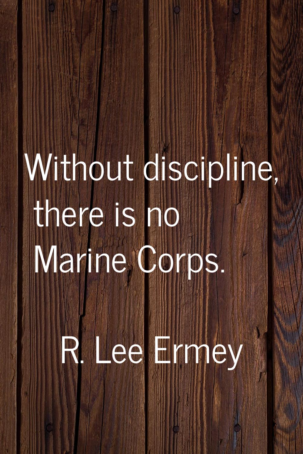 Without discipline, there is no Marine Corps.