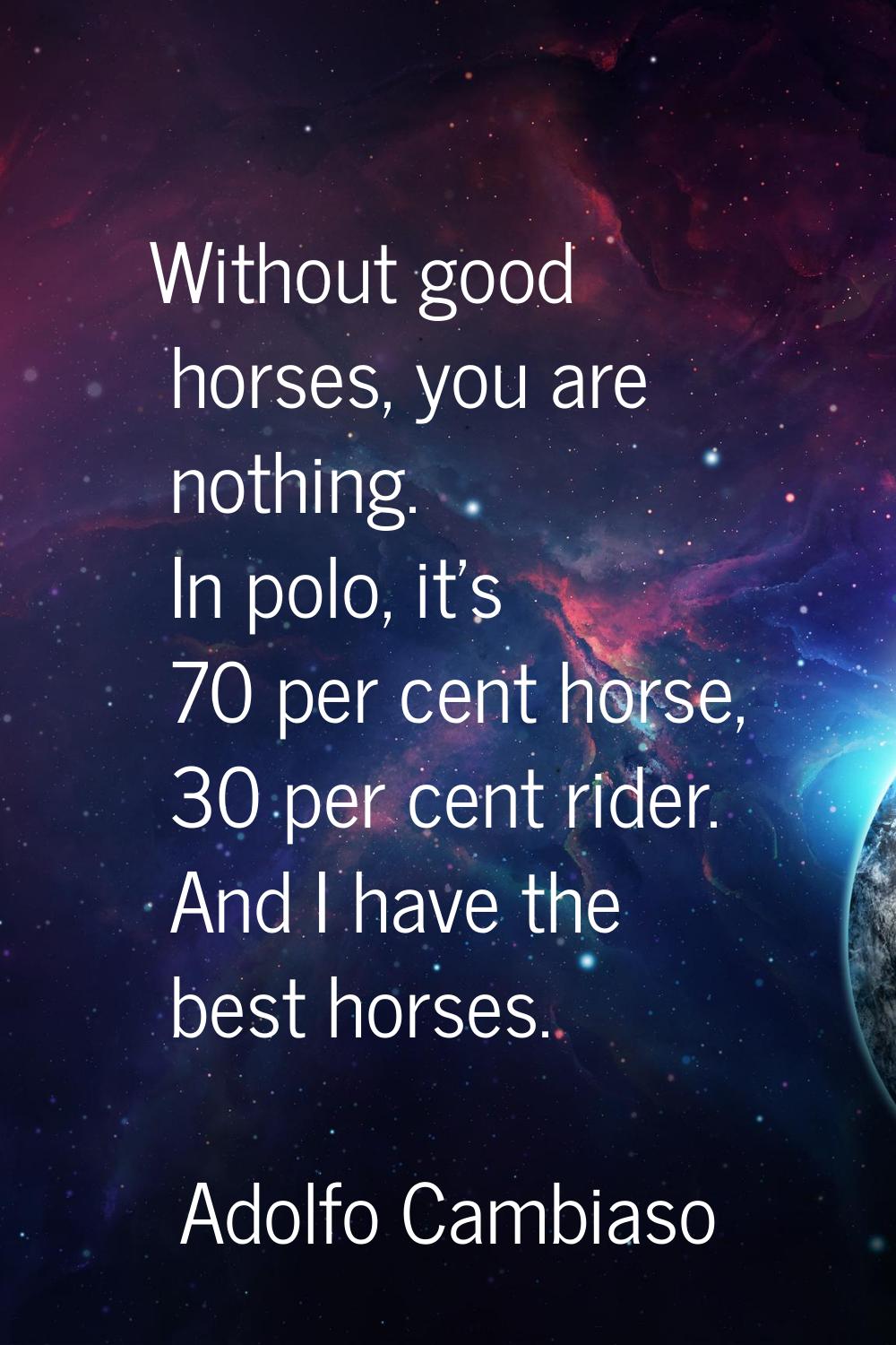 Without good horses, you are nothing. In polo, it's 70 per cent horse, 30 per cent rider. And I hav