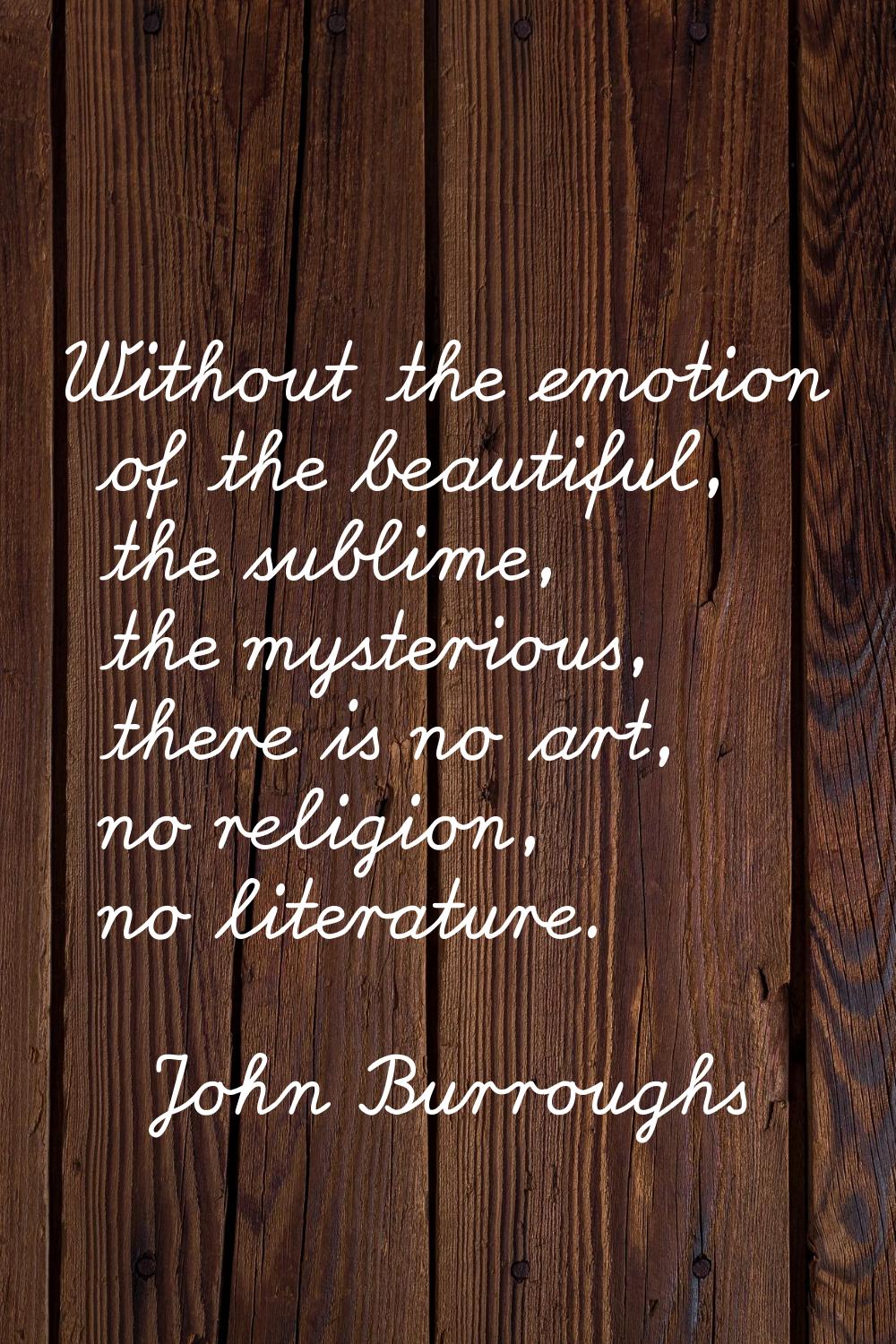 Without the emotion of the beautiful, the sublime, the mysterious, there is no art, no religion, no