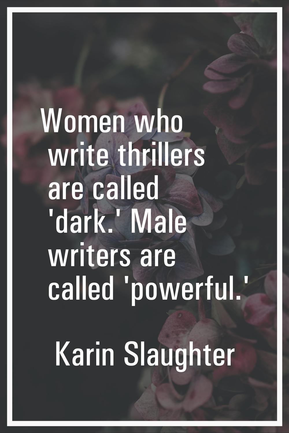 Women who write thrillers are called 'dark.' Male writers are called 'powerful.'
