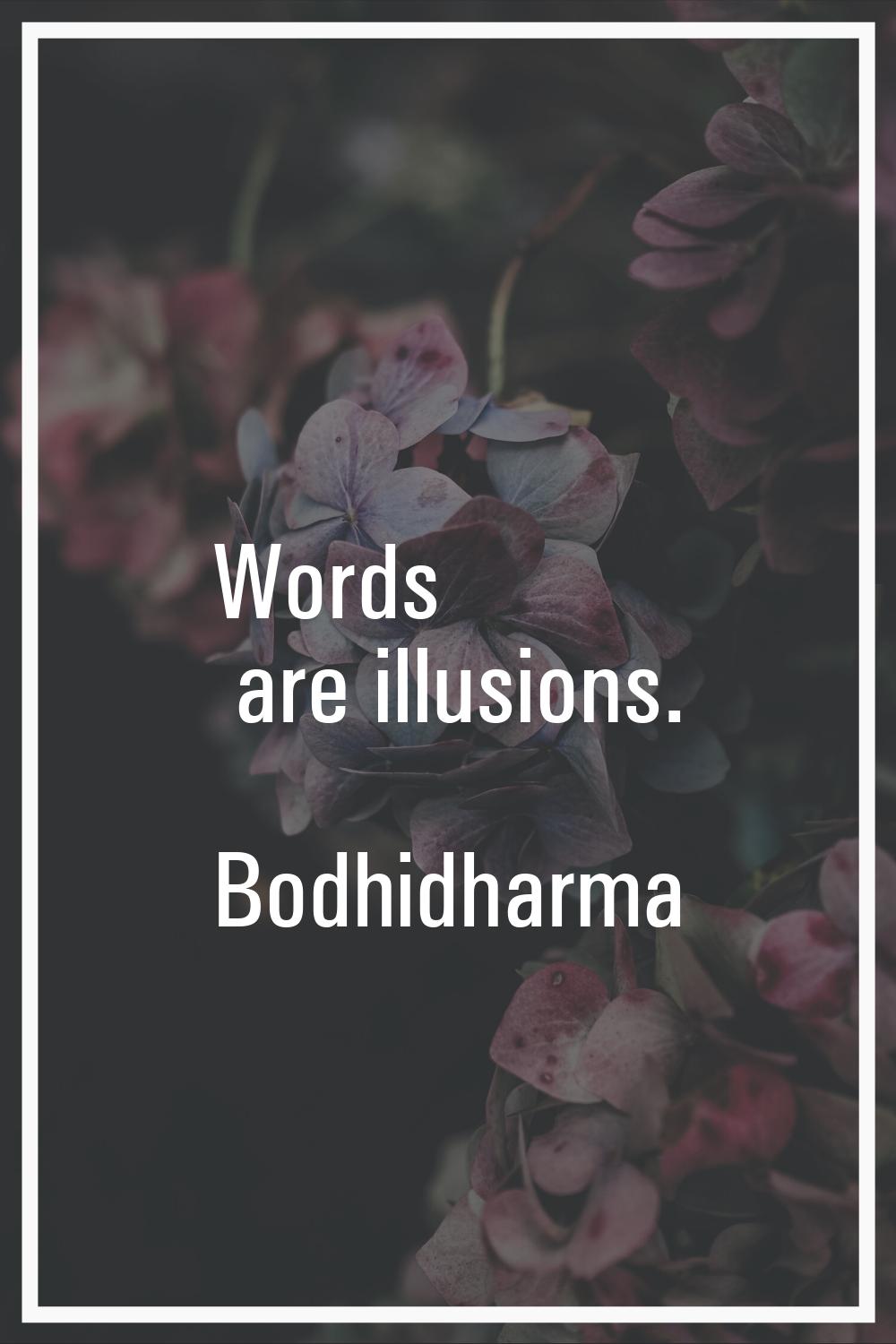 Words are illusions.