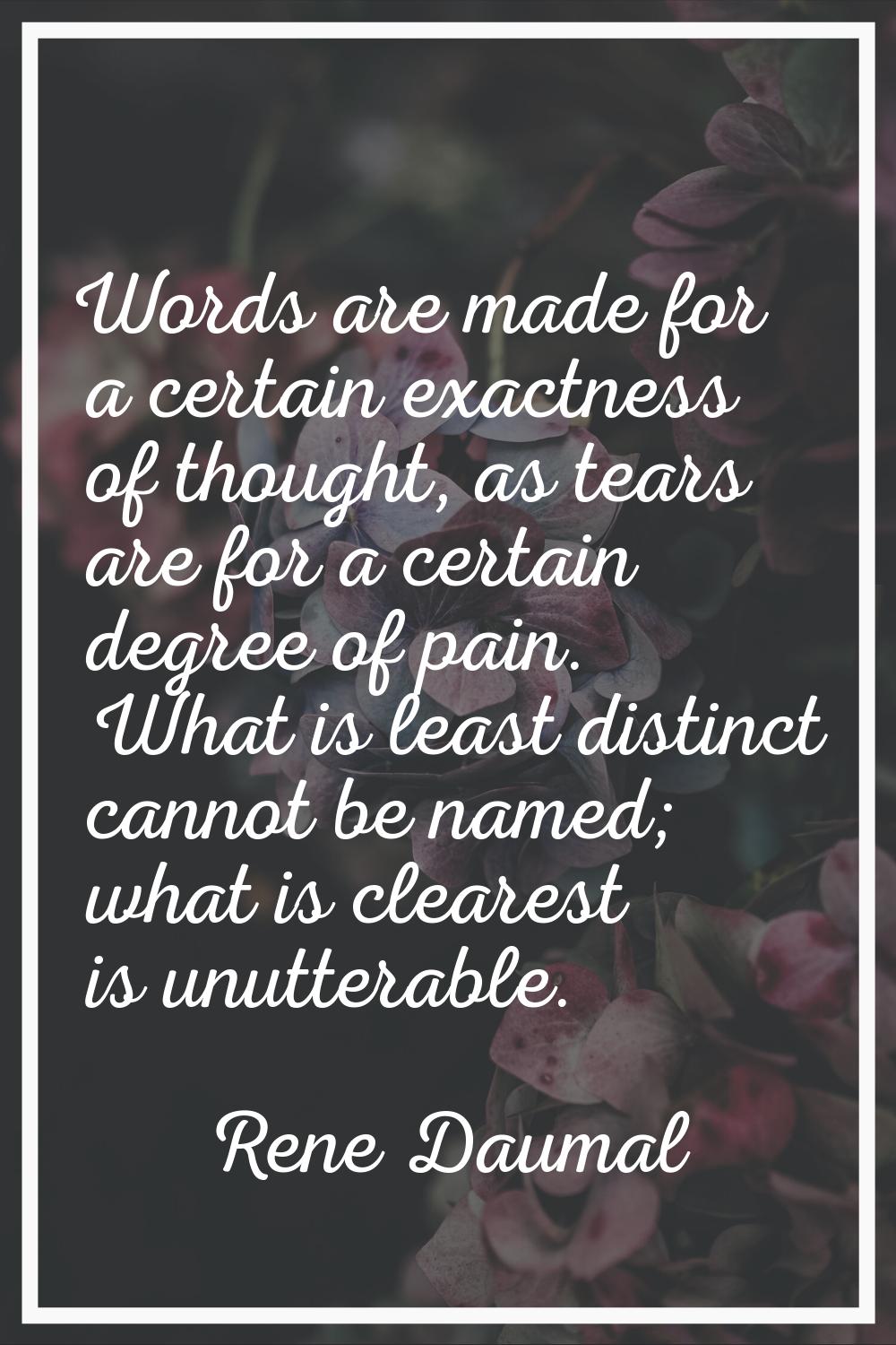 Words are made for a certain exactness of thought, as tears are for a certain degree of pain. What 