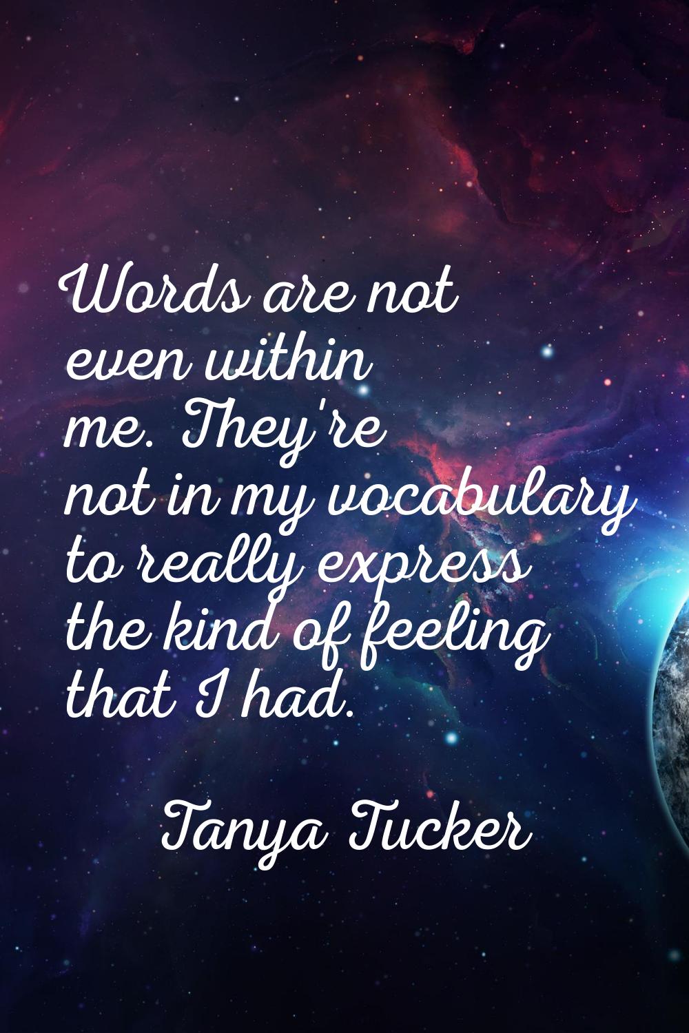 Words are not even within me. They're not in my vocabulary to really express the kind of feeling th
