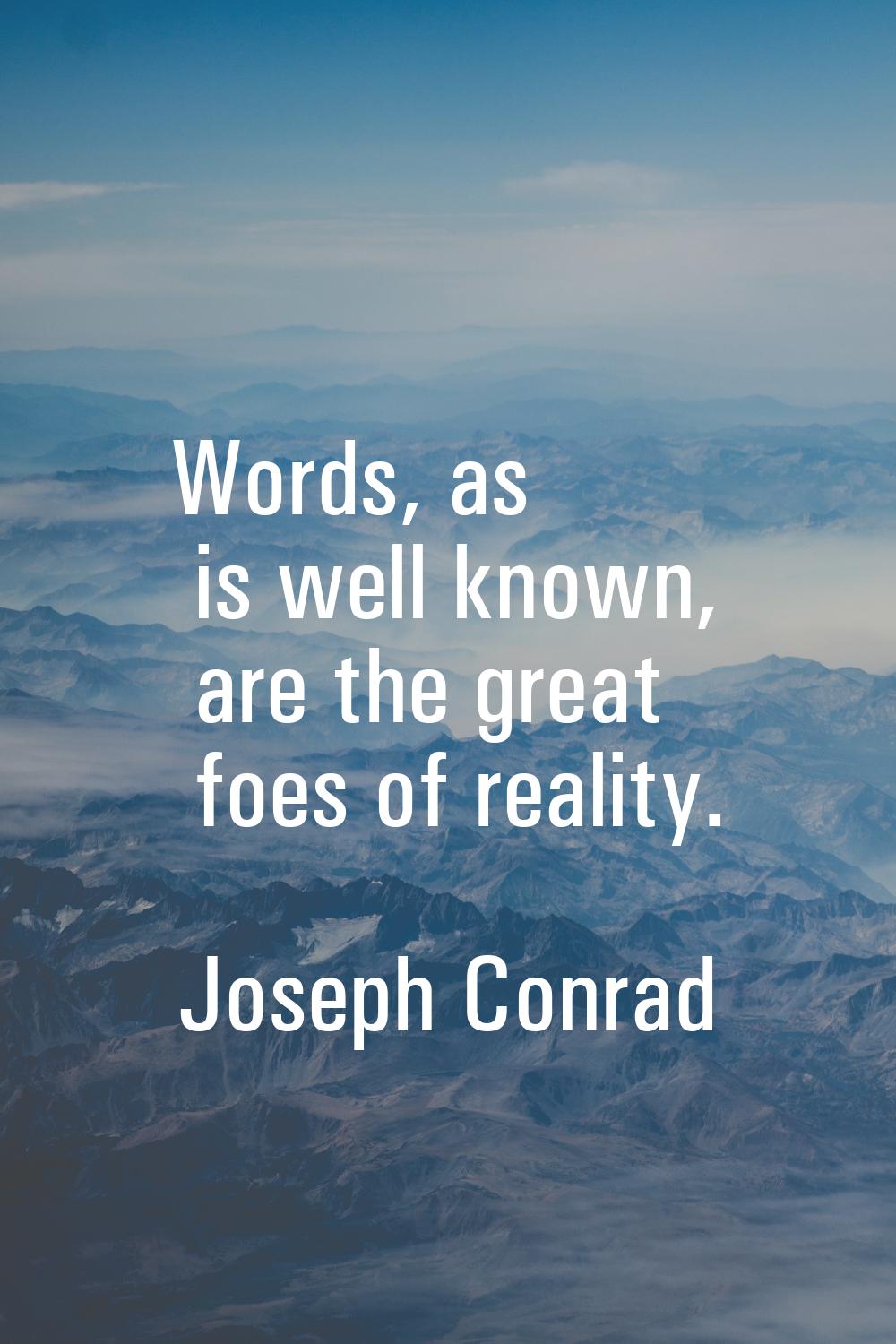Words, as is well known, are the great foes of reality.