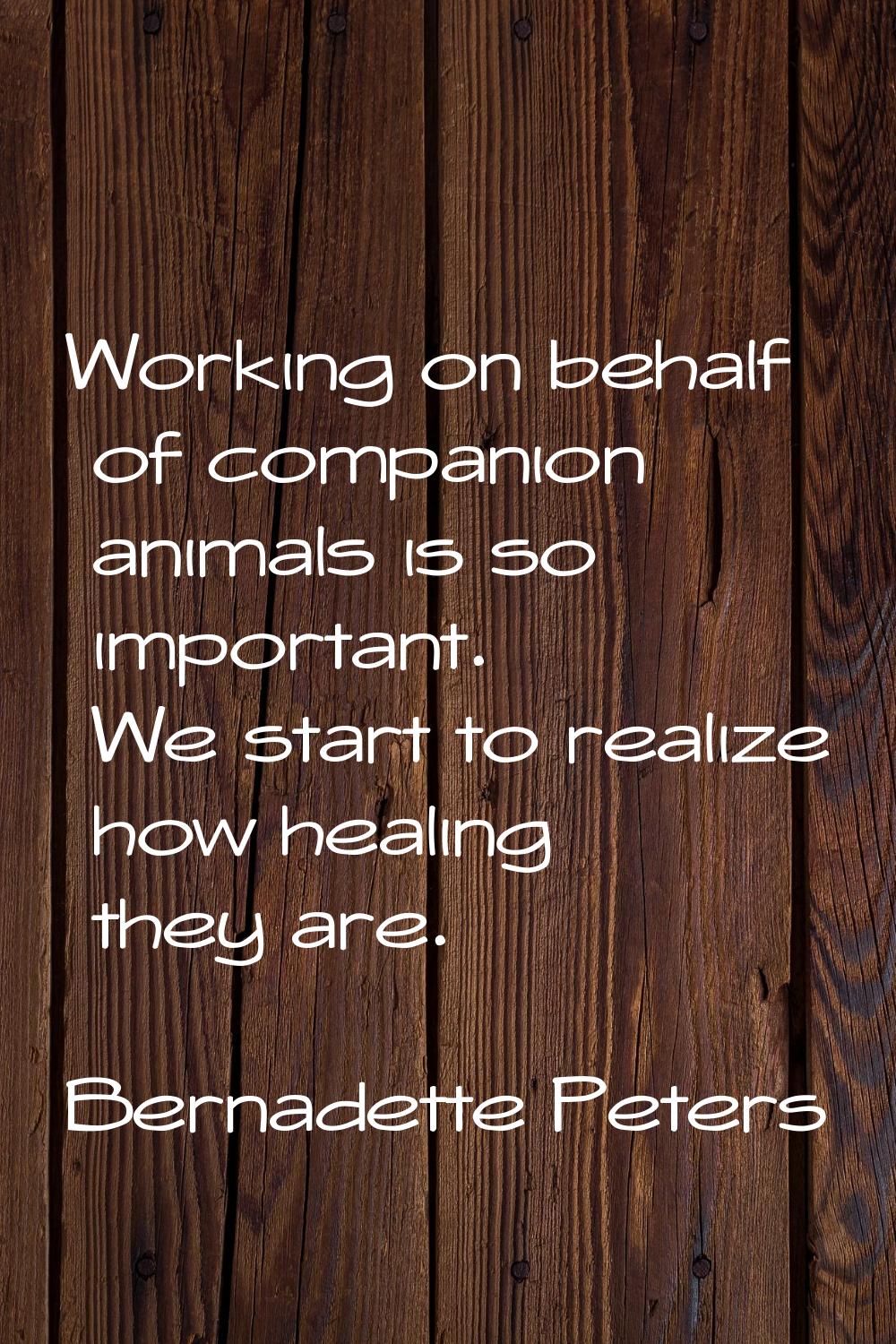 Working on behalf of companion animals is so important. We start to realize how healing they are.