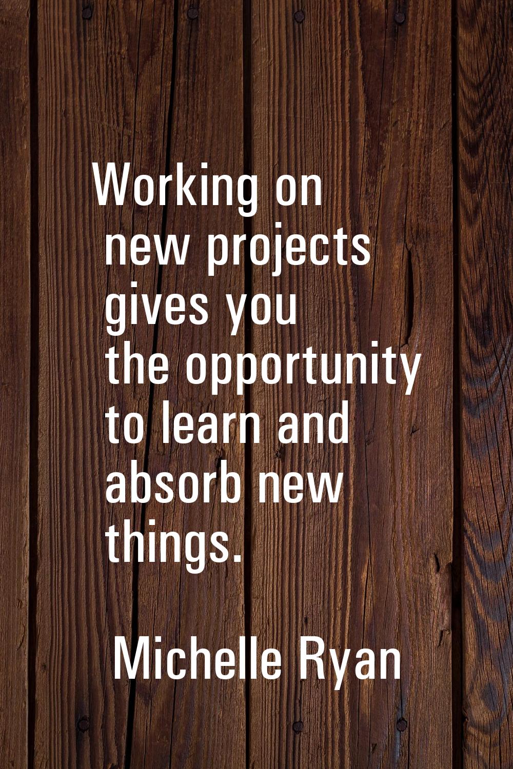 Working on new projects gives you the opportunity to learn and absorb new things.