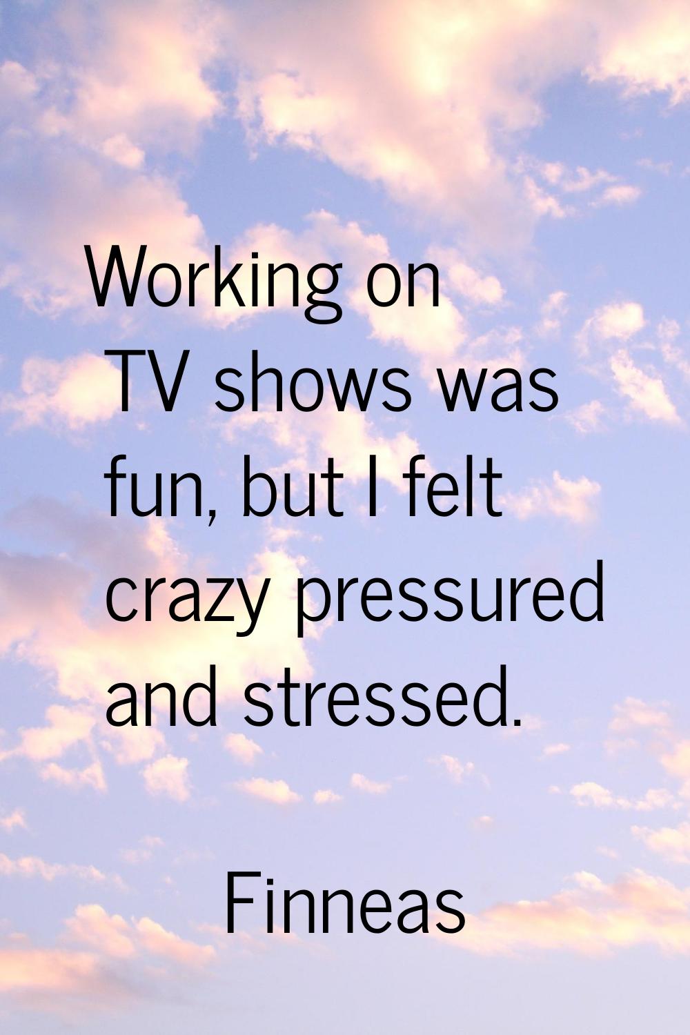 Working on TV shows was fun, but I felt crazy pressured and stressed.