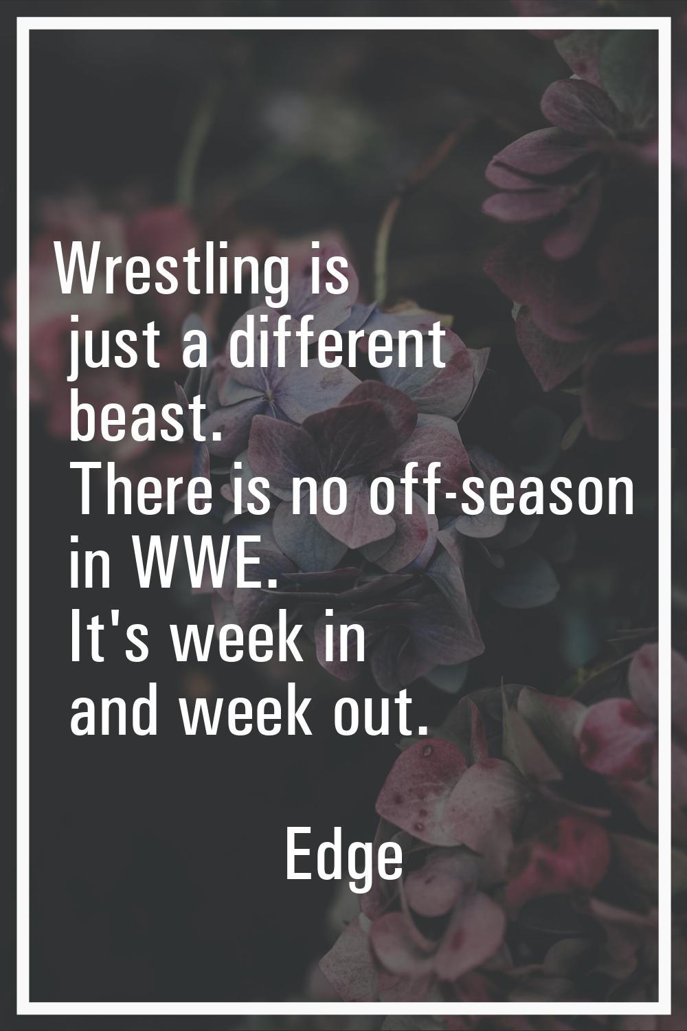 Wrestling is just a different beast. There is no off-season in WWE. It's week in and week out.