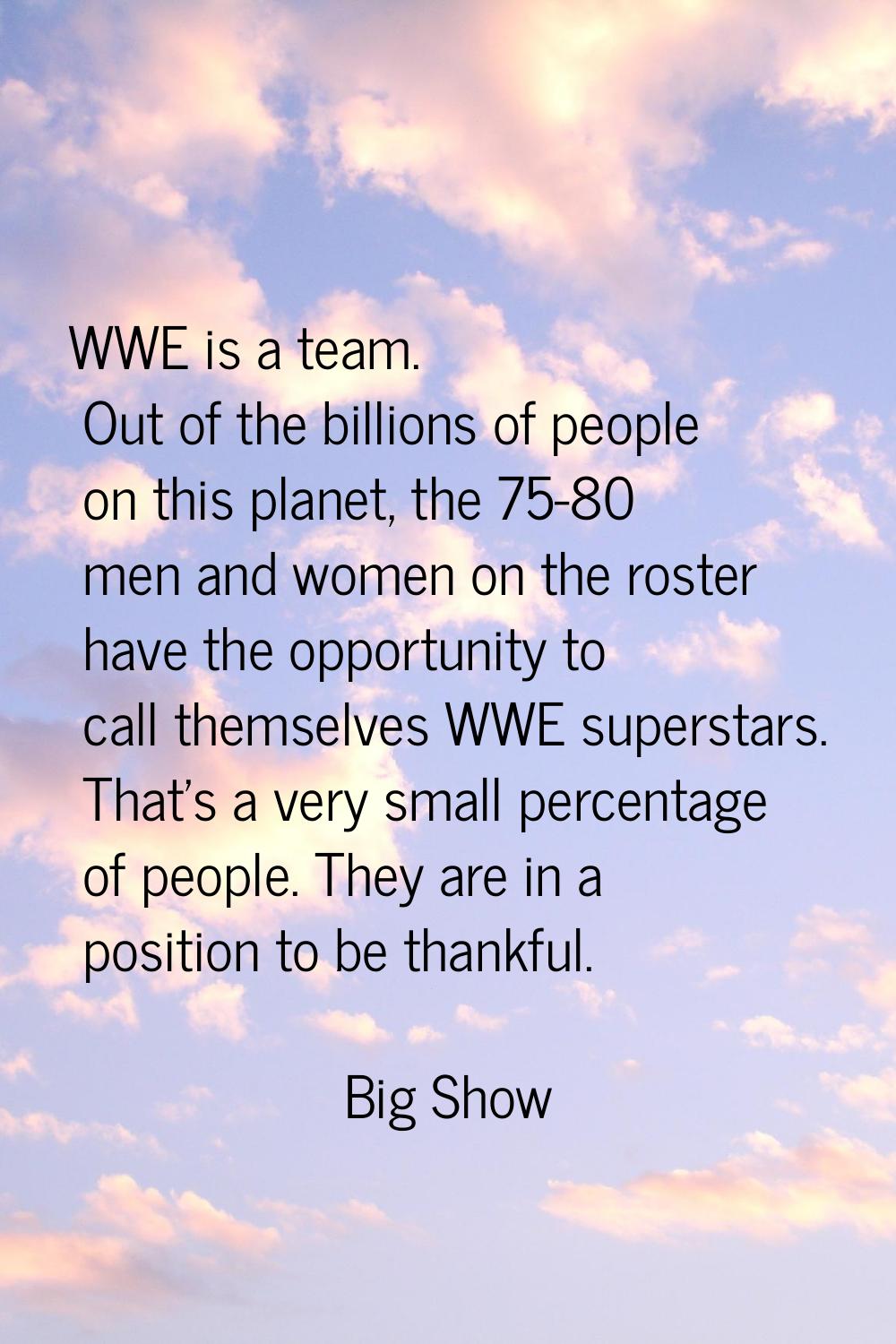 WWE is a team. Out of the billions of people on this planet, the 75-80 men and women on the roster 