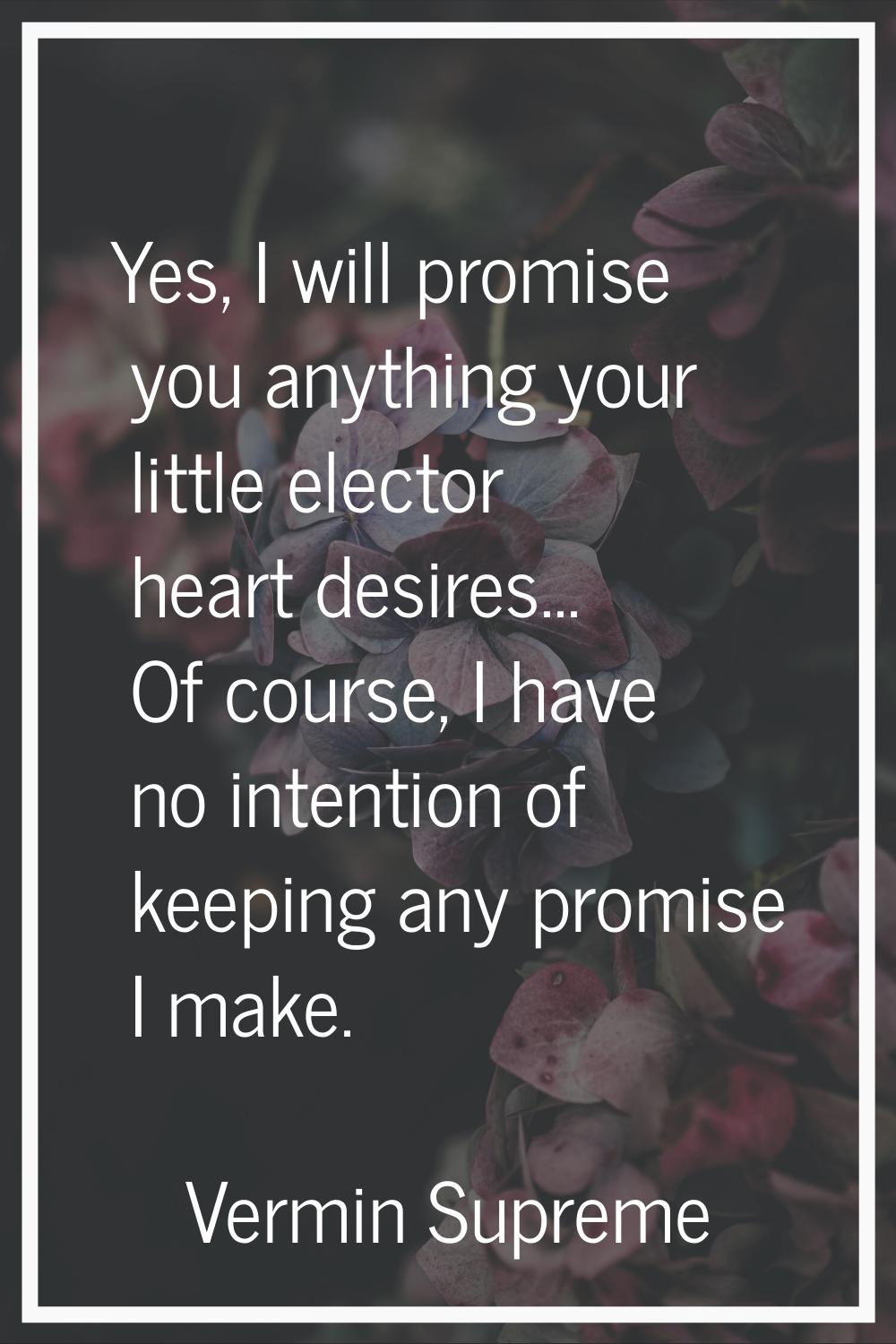 Yes, I will promise you anything your little elector heart desires... Of course, I have no intentio