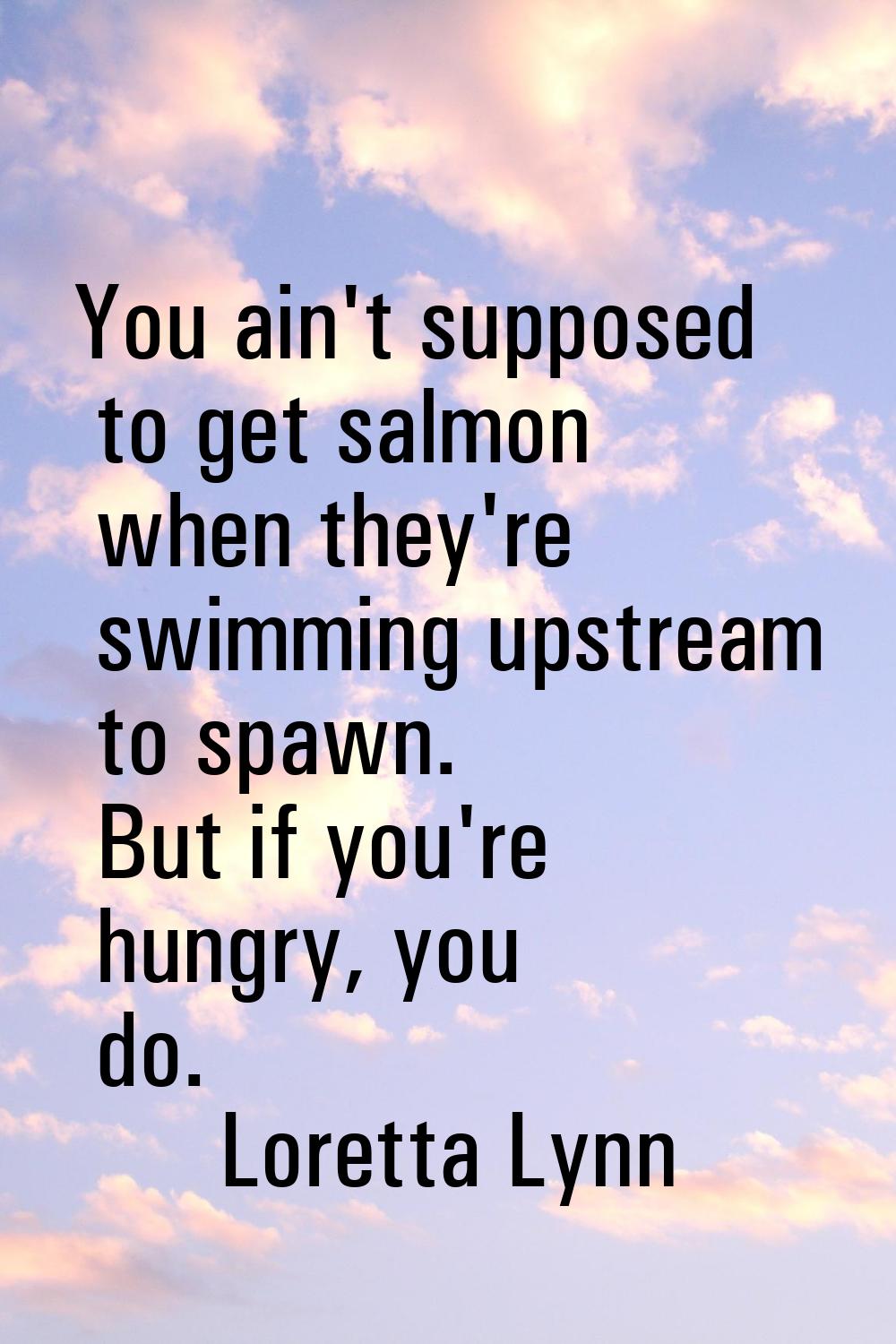 You ain't supposed to get salmon when they're swimming upstream to spawn. But if you're hungry, you