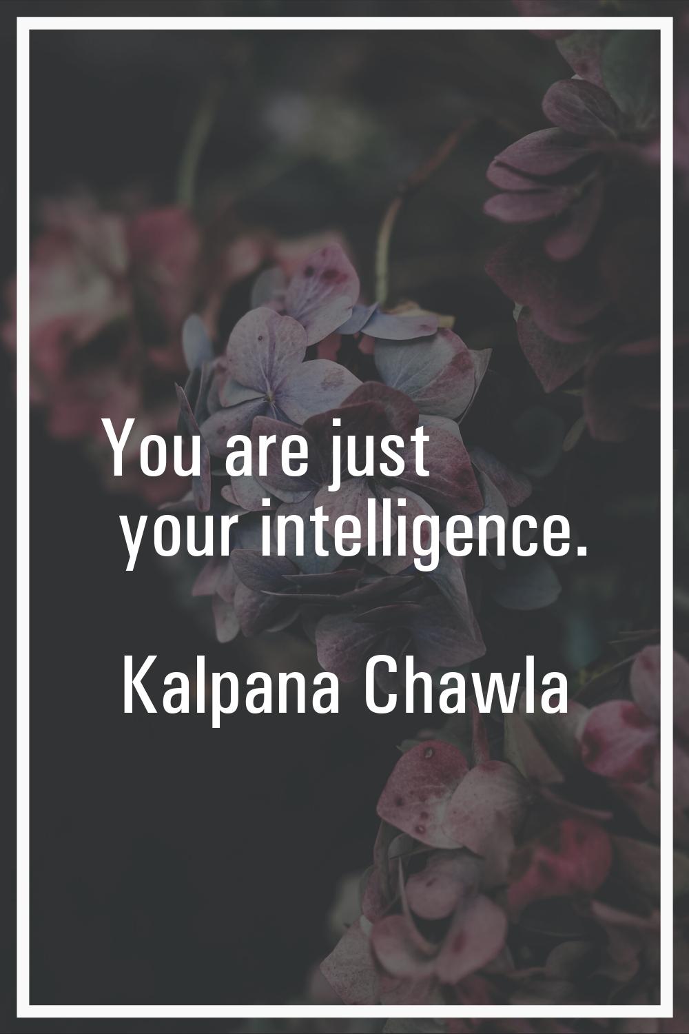 You are just your intelligence.
