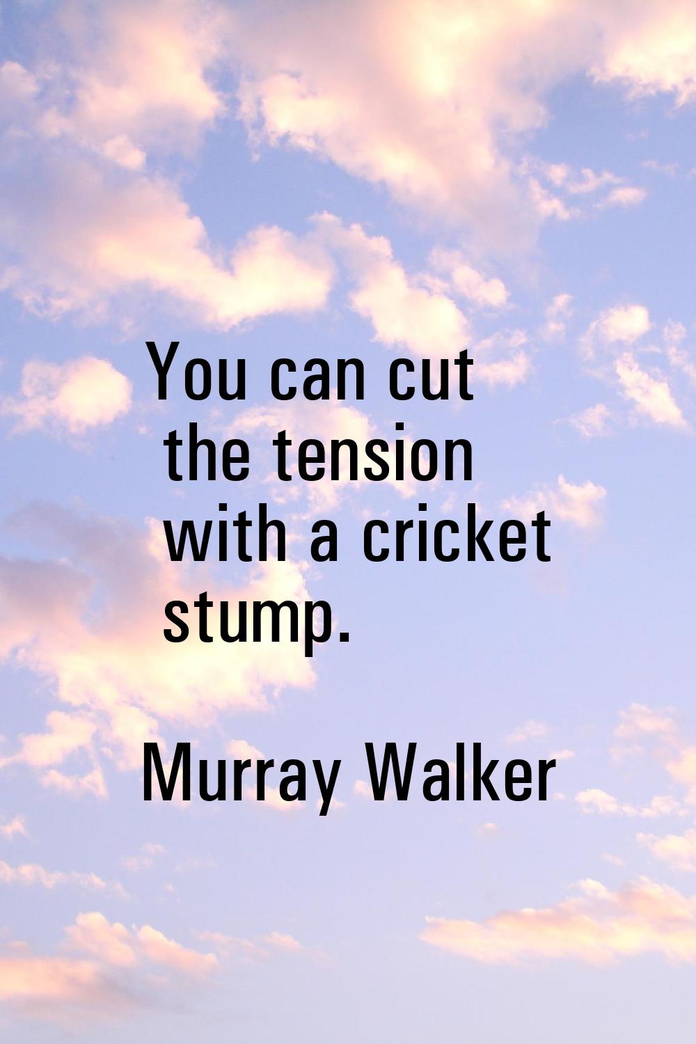 You can cut the tension with a cricket stump.