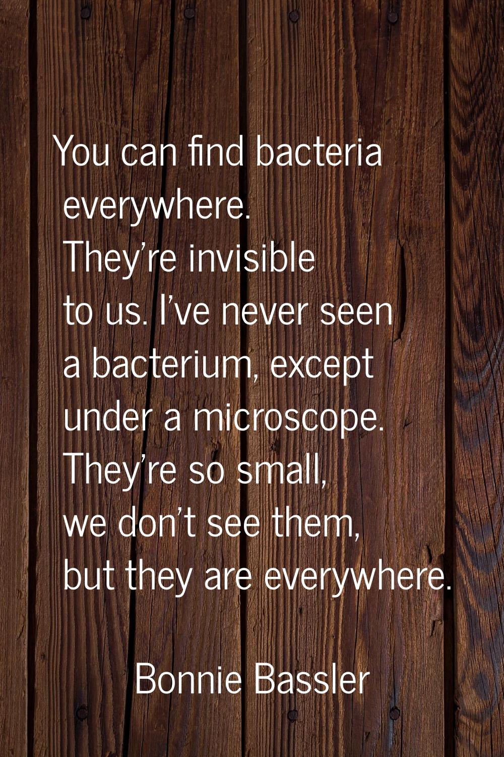 You can find bacteria everywhere. They're invisible to us. I've never seen a bacterium, except unde