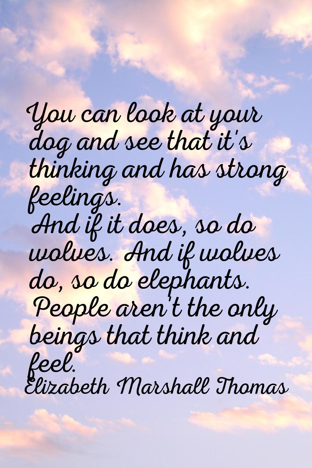 You can look at your dog and see that it's thinking and has strong feelings. And if it does, so do 